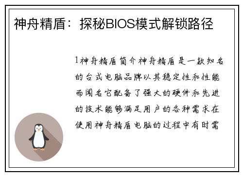 神舟精盾:探秘BIOS模式解锁路径 神舟精盾:探秘BIOS模式解锁路径
